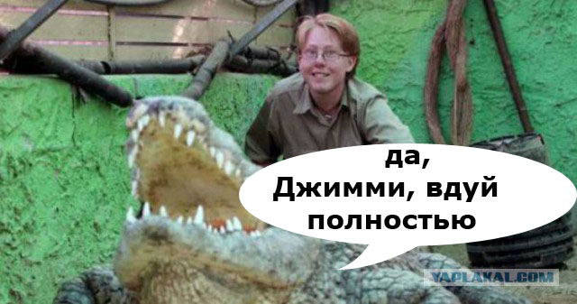 Работник зоопарка был съеден во время занятия сексом с аллигатором