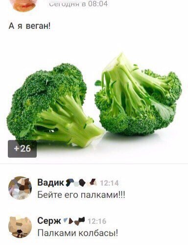 Ужасы и приколы из соцсетей 18+