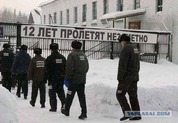 Картинки из интернетов