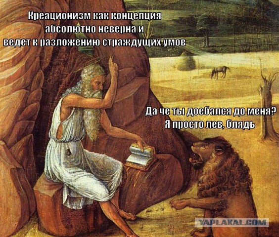 Порция пикчей из палаты №6