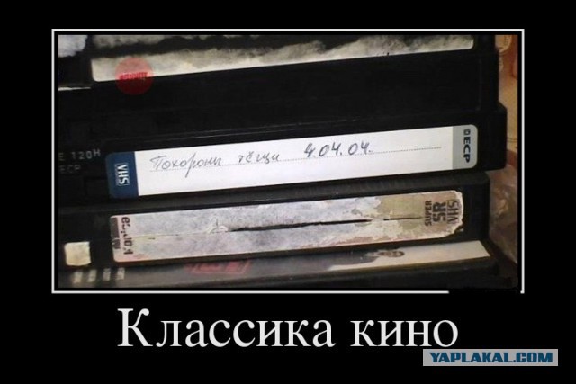 "Родственники", которых мы получаем, побывав в ЗаГСе