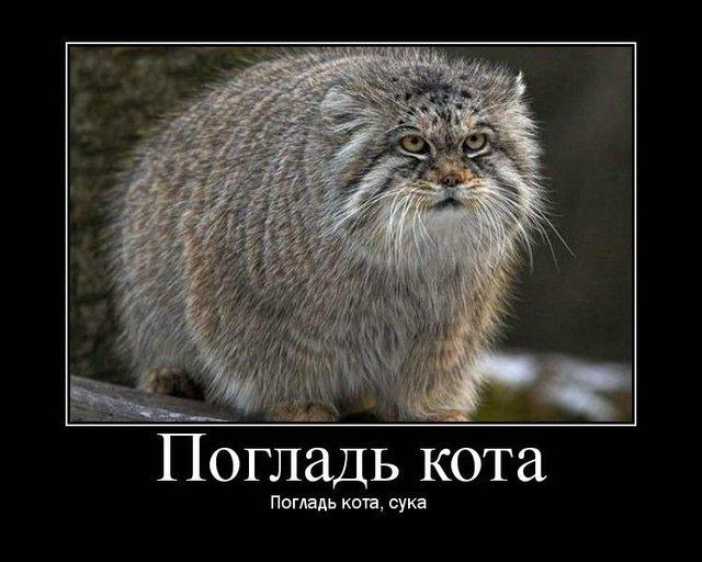 Быдлогоп-свадьба - конкретно четкая и ровная стилизация