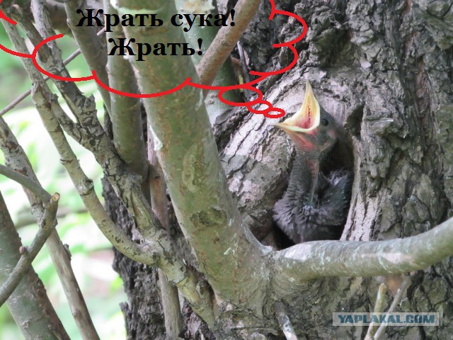 Подборка интересных и веселых картинок
