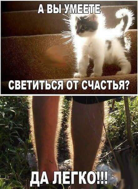 Порция воскресных картинок