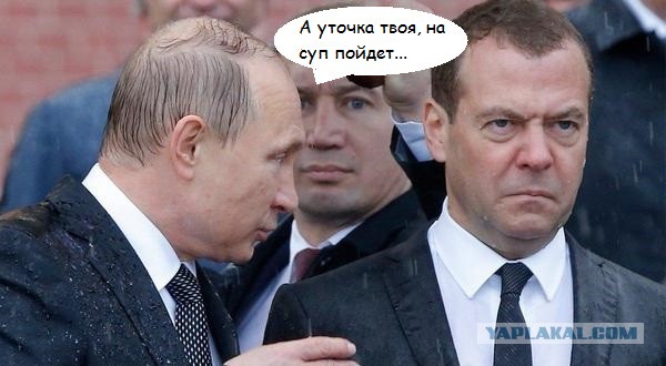 Под дождём