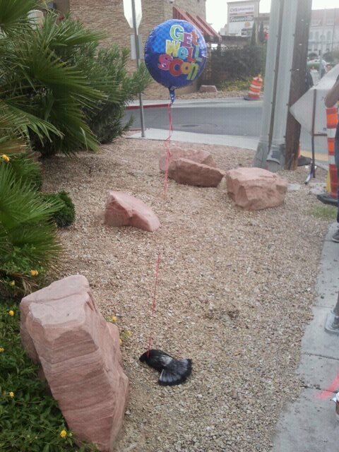 Аморальный и чёрный юмор к началу недели