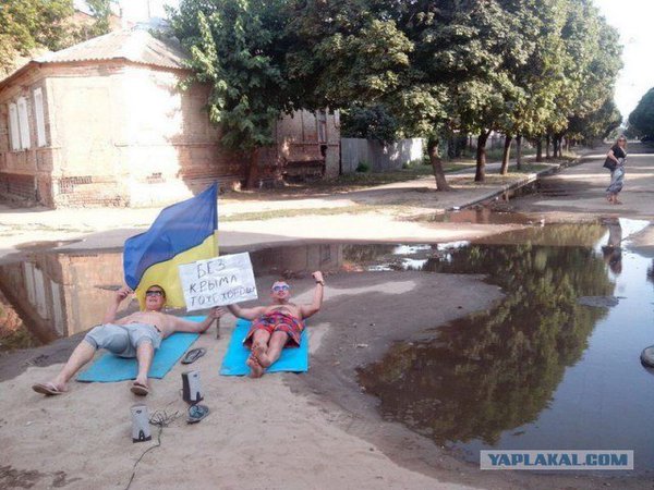 Валуев и кот Мостик