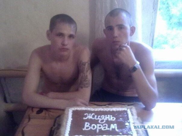 в Челябинске двое парней заказывали пиццу и отнимали её у курьеров.