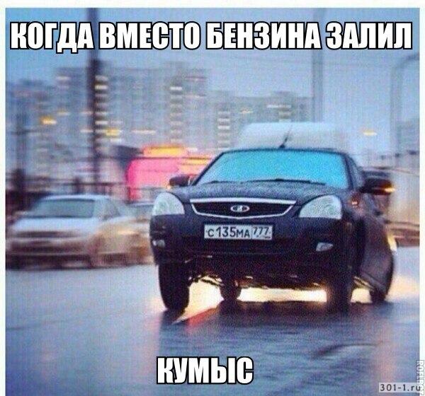 Кыргызская дочь Остапа Бендера
