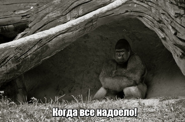 Нестандартный юмор