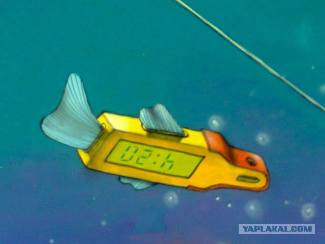 Недетские картинки в детском саду