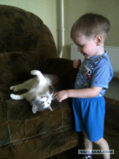 Котовторник 24.04.2012