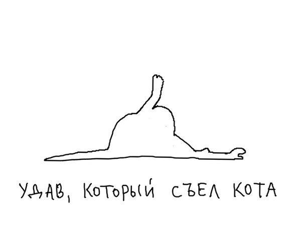 ЯП против Мамбы. Раунд второй.