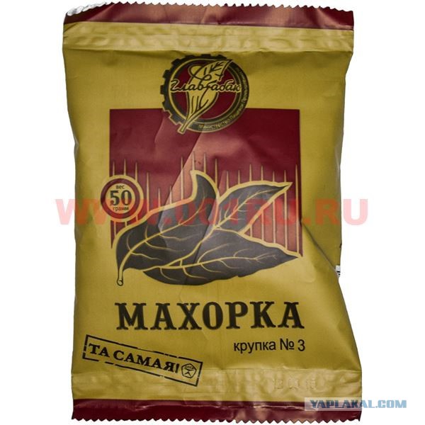 Махорка. Возрождение культуры