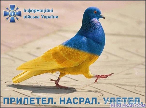 Росгвардия впервые показала свой новый бронеавтомобиль "Горец-ССН"