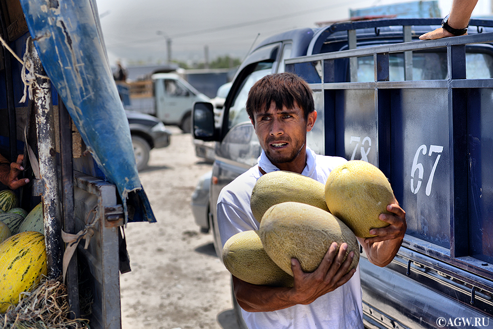Узбекскую веселую. Таджик с арбузами на рынке. Таджикские дыни. Продавец дынь. Таджик с арбузами.