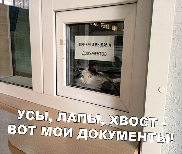 Немного картинок для настроения