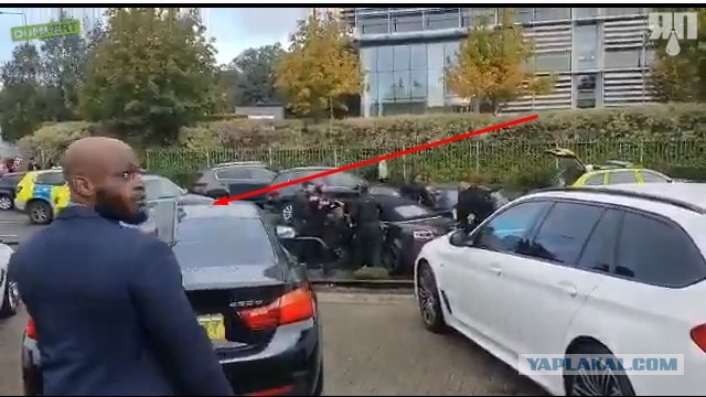 Лондонская полиция проводит задержание