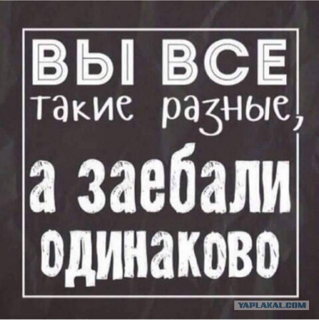 "Бaбам лишь бы влaсть к рукaм прибрать, а допyсти их - это же кaтастрофа, зaгнется всё, наступит конeц свeта!"...