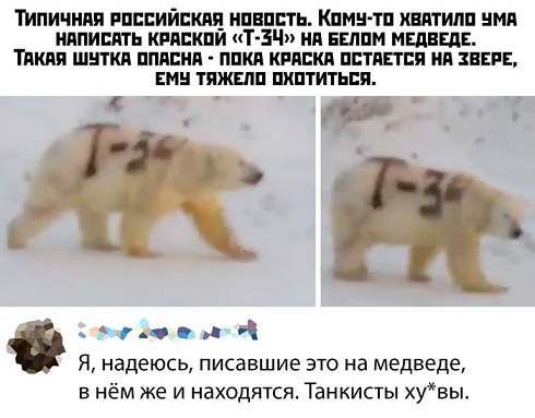 Картинок чуть 03.12.19