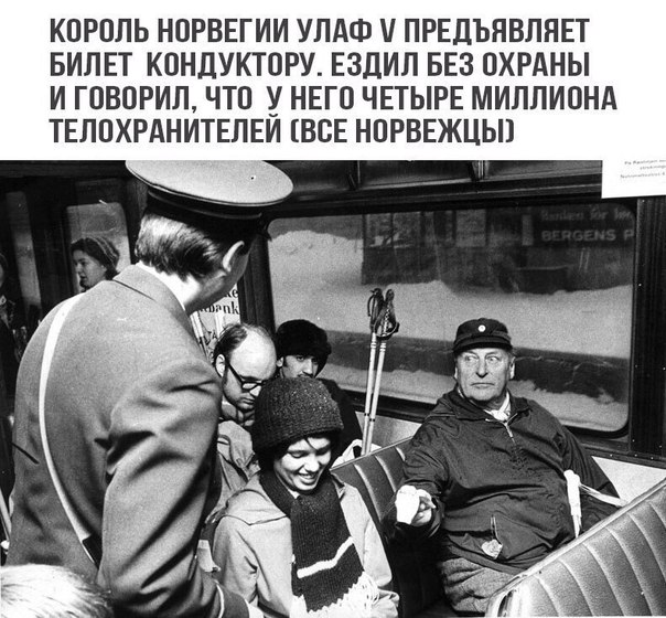 Немного картинок для настроения 11.02.20