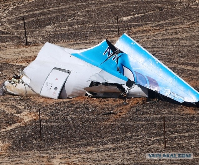 Нидерландские прокуроры заявили о свидетеле атаки ракетой по MH17