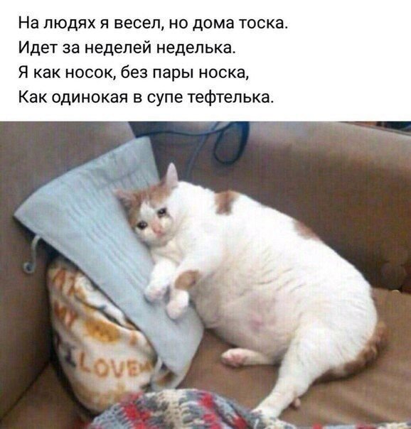 Так себе картинки #13