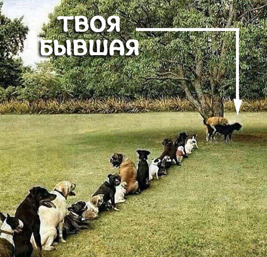 Из чебурека в расстегай