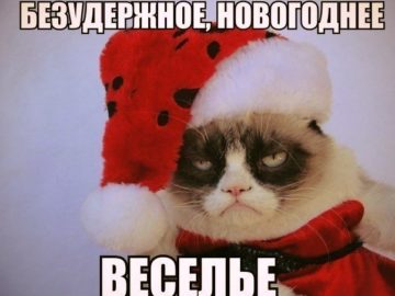 ⚡️Сенатор Кутепов предложил сократить новогодние праздники в России в 2021 году до трех дней