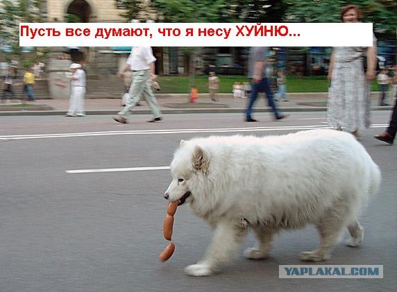 Я несу хуйню
