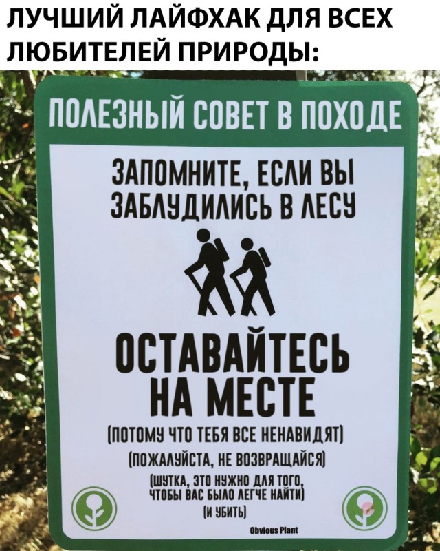 Навеяло пятницей, отпуском и короновирусом