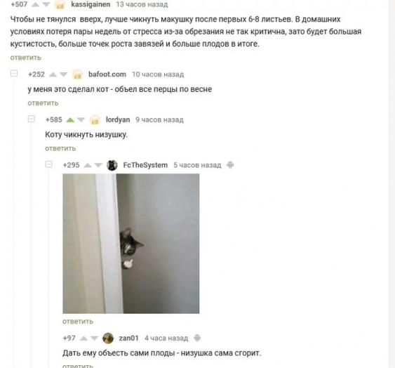 Бредзона 25.08.2020