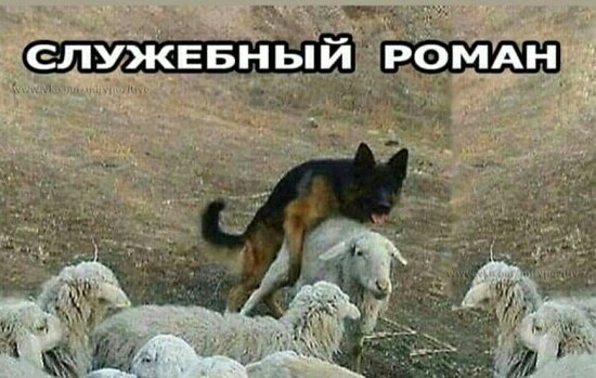 Бредзона 15.11.20