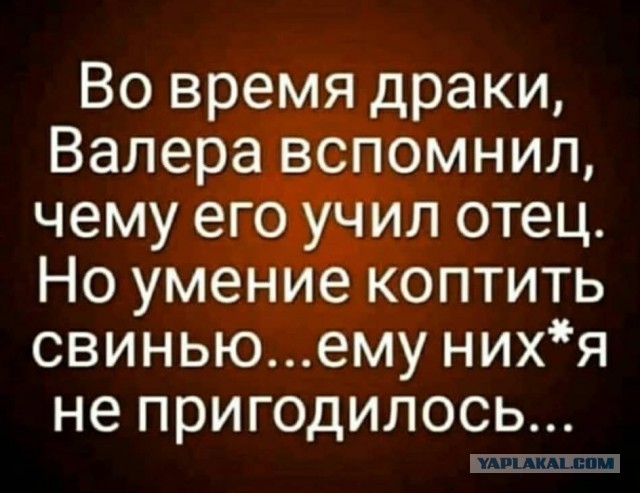 Весёлый полтишок 28.03