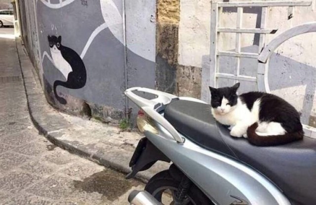 Картинки и мемы для настроения 19.05.2021