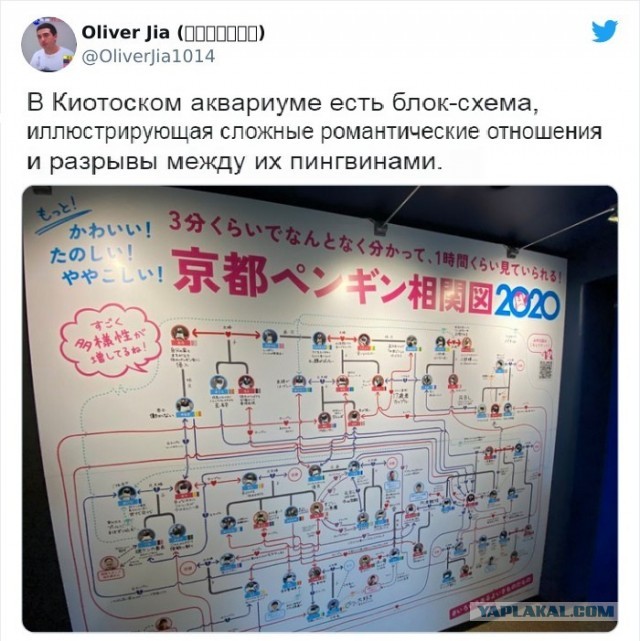 Факты, доказывающие, что Япония не похожа ни на одну другую страну .