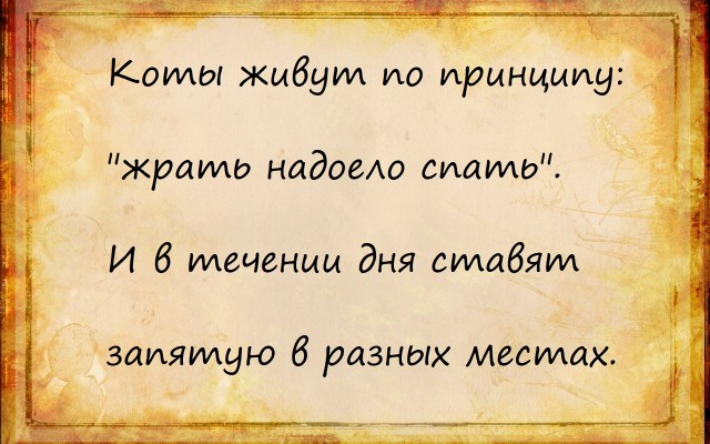 Кретинизмы из сети 13.07.2021