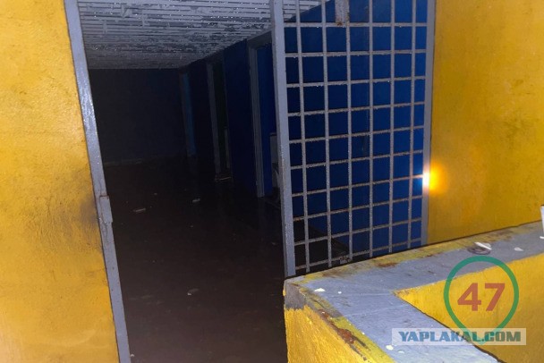 Под Петербургом нашли частную подземную тюрьму с крематорием