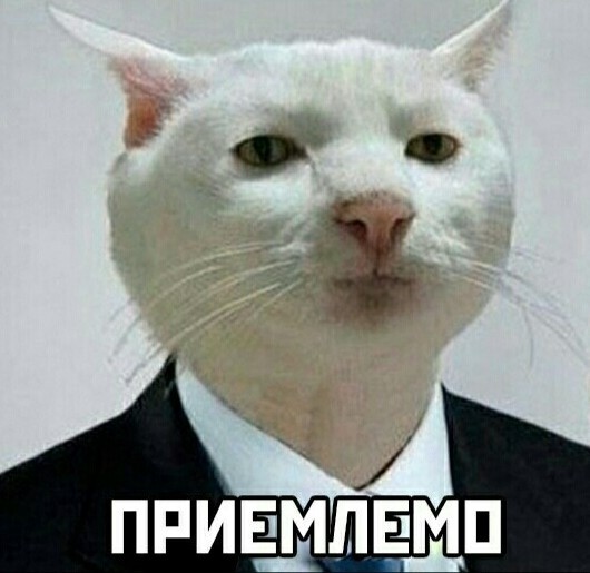 Собакен дня