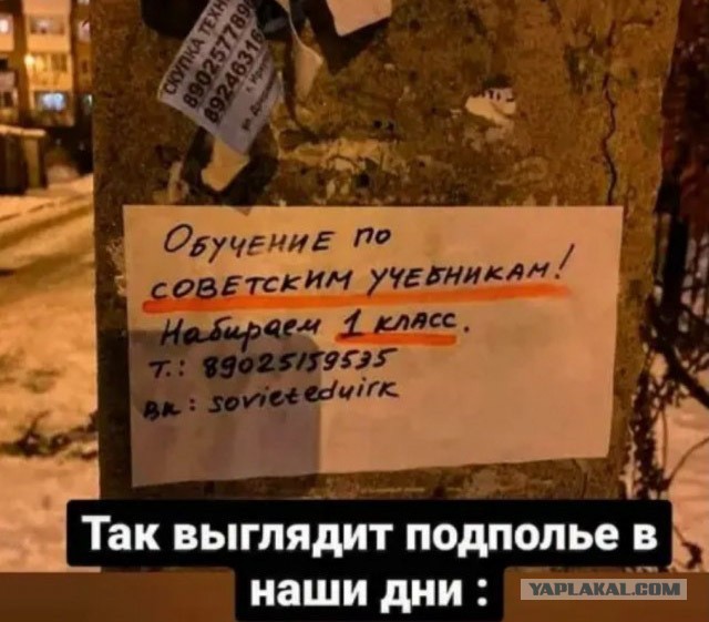 Государство - это территория, которой владеет президент. 2021 год, урок для учеников 4 класса