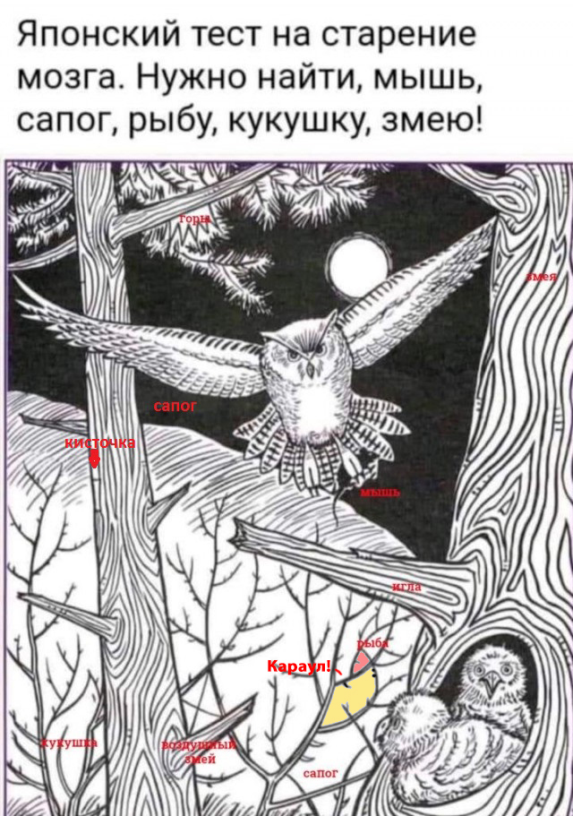 Бредзона 10.10.2021