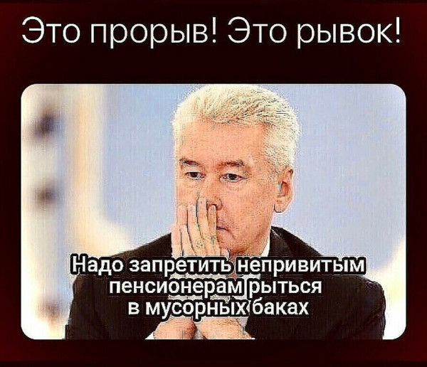 16146132.jpg