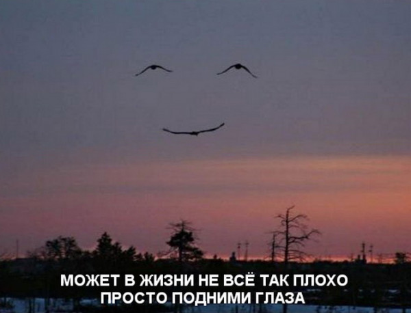 Так себе картинки 17.12.2021