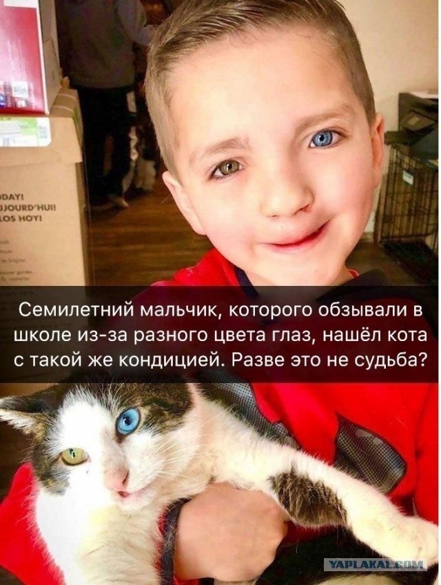 Чуток картинок 22.12.21