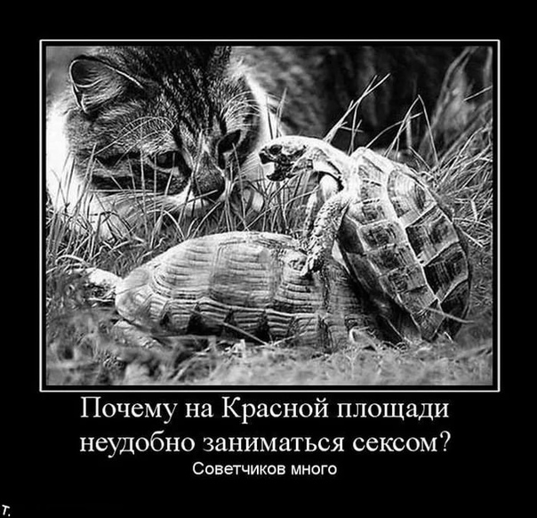 Пандемия. Коронавирус. Россия и мир. Часть 29