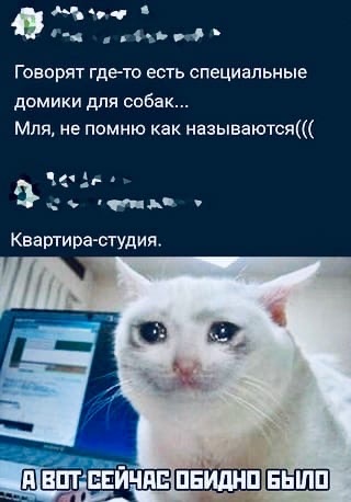 40 картинок разных 01.06.22