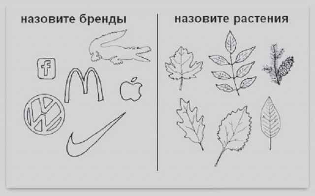 Картинки с надписями и всякие жизненные фразы