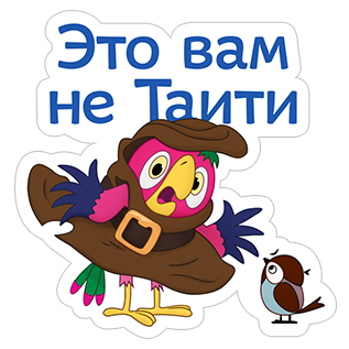 В Заречье заметили попугая, который прибился к стае воробьев
