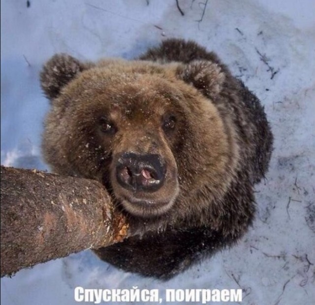 Картинки и мемы для настроения - 03