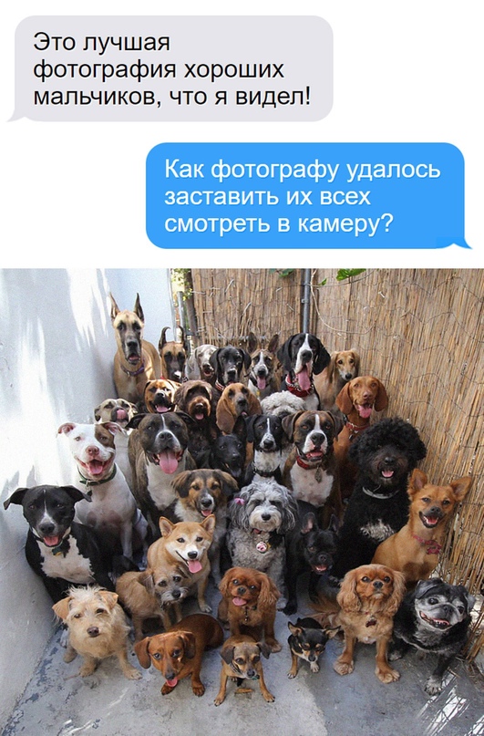 Весёлый полтишок 18.08.22
